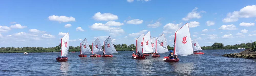 Optimist zeilen in Drimmelen